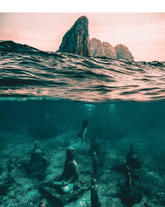 energia, energia vitale, bioenergia, bioenergetica, analisi funzionale, psicologo senigallia, psicologia somatica, stress, psicologo psicosomatica, Boadella, Reich, orgone, orgonomia